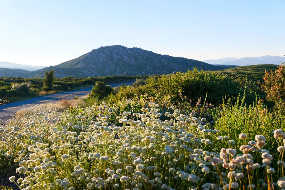 Highlighting the California Native Nations: A Road Trip from San Diego to Monterey