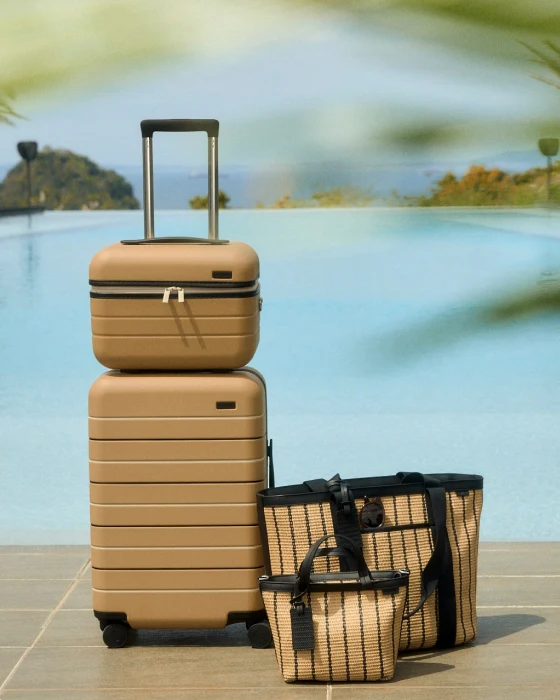 Two beige suitcases and a woven bag on a wooden deck with a blurred natural background