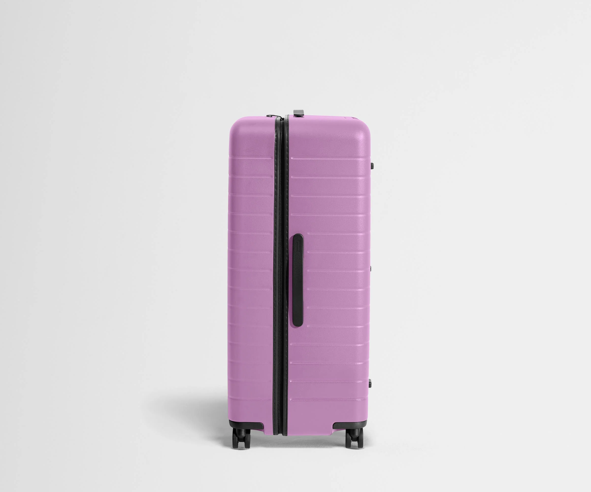 The Trunk | Taffy Purple