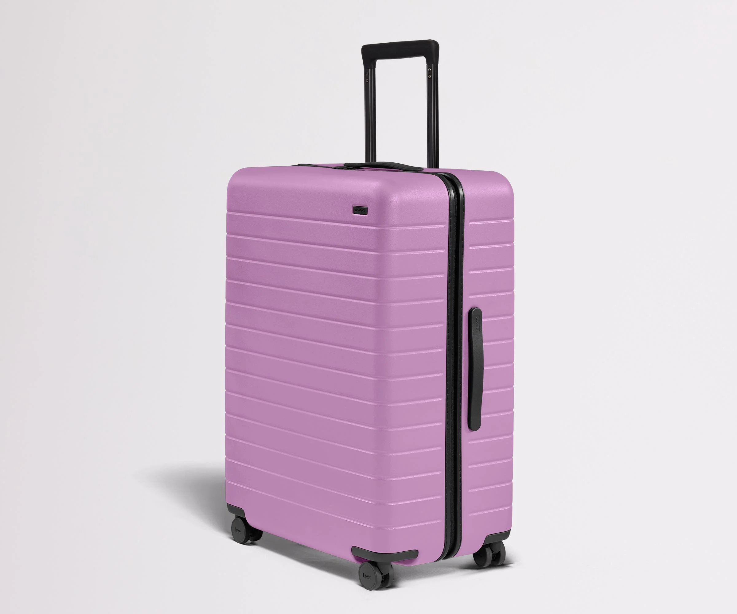 The Large | Taffy Purple