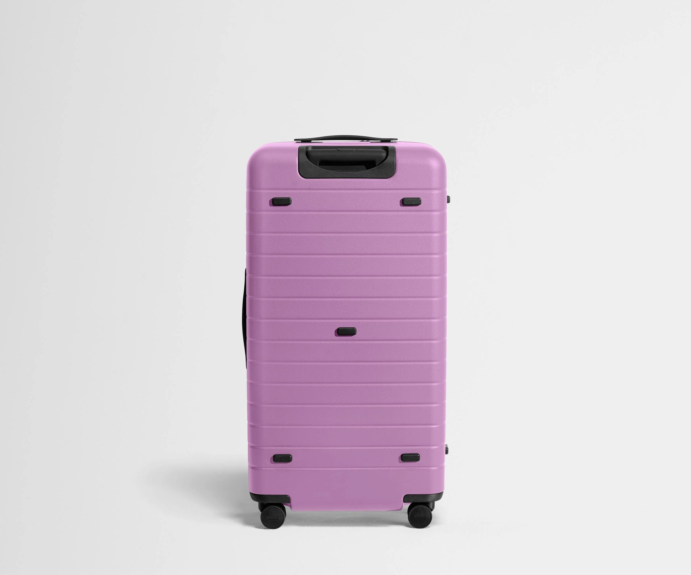 The Trunk | Taffy Purple