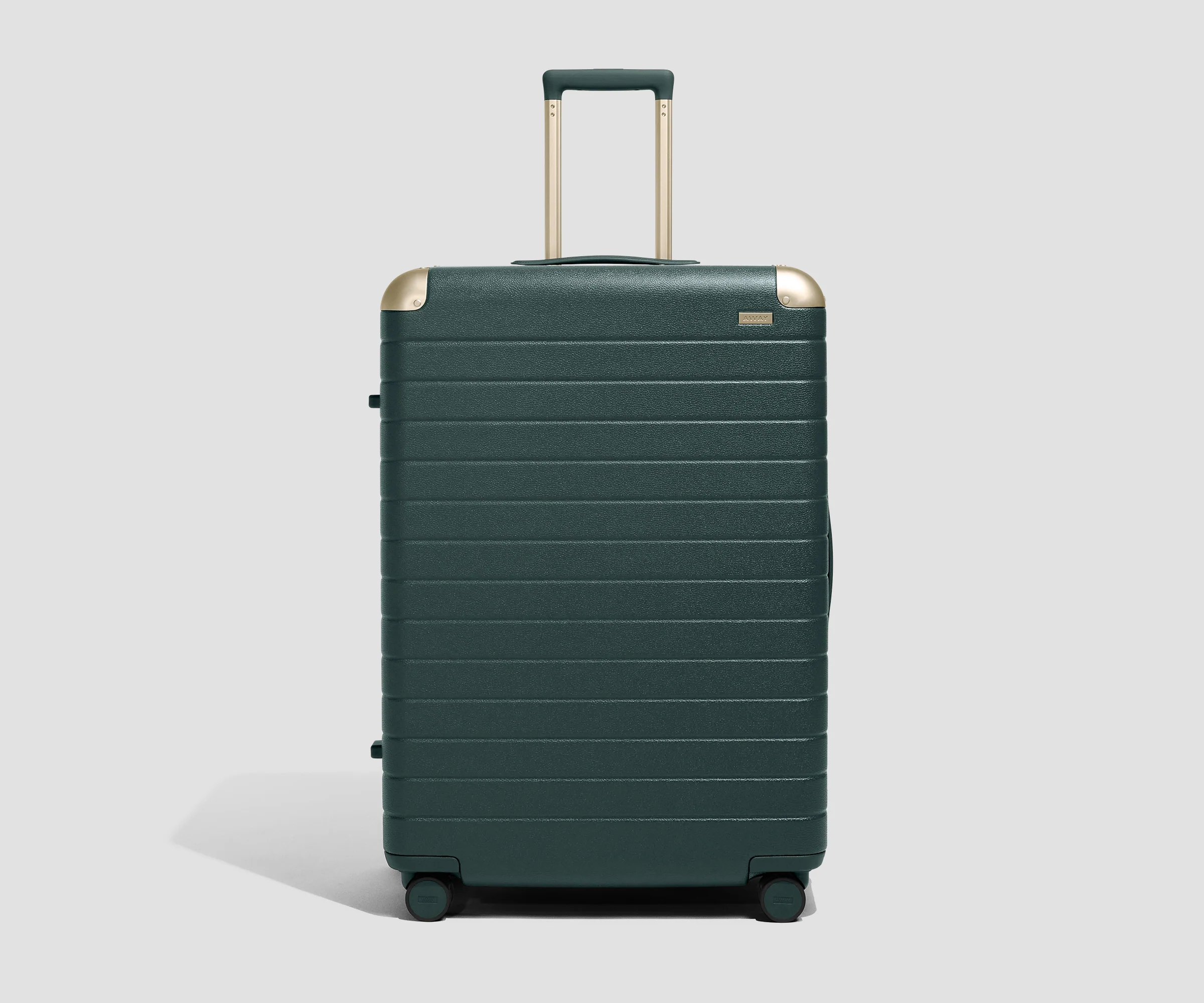 The Aluminum Edge Large in Ivy Green