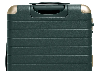 The Aluminum Edge Medium in Ivy Green