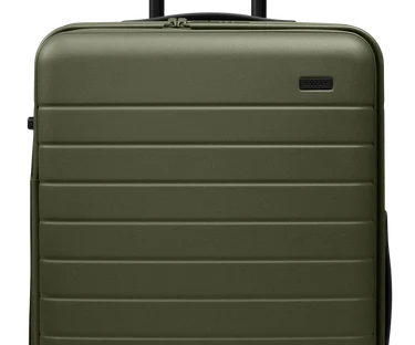 Topside Medium Trunk in Olive Green